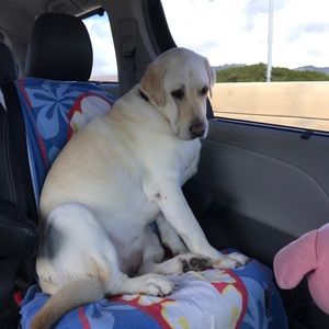 Meet your Posher, Zoe